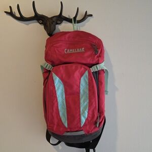CamelBak Pink and Light Aqua Hydration Pack